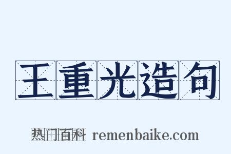 王重光造句是什么意思的图片